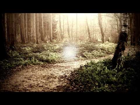 Duet Đurić, Runjajić, Igra kolo na livadi