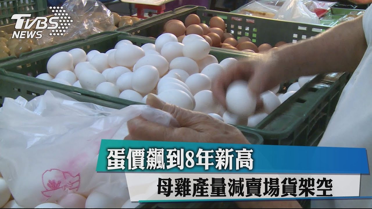 蛋價飆到8年新高　母雞產量減賣場貨架空