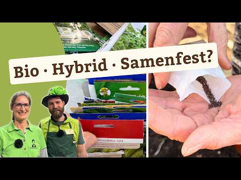 Which seeds are right for me: organic, hybrid or open-pollinated?