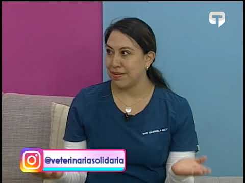 Enfermedades oculares en perritos