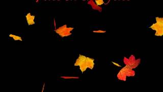 Fall in the fall - (Jelly Roll x Struggle Jennings)