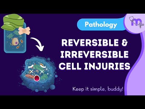 Reversible and Irreversible cell injuries | Modes of Cell Death | Pathology | Animated explanation