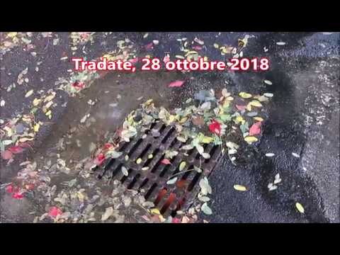 TELE VEDETTE TRADATE - E' FINITO IL BALLO DEL QUA QUA... - 28/1072018