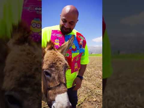 INI MINI SINI -- ايني ميني سيني