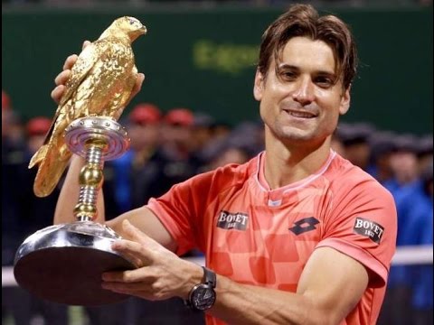 David Ferrer vs. Tomas Berdych- Final Doha 2015 [Highlights]