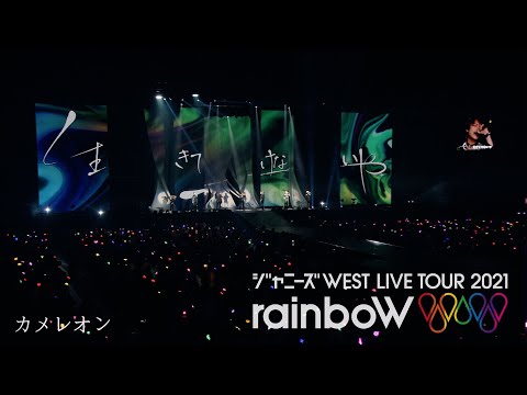 アボカドの木をいつ地面に植えるか、発芽の兆候が見られる最初に何をすべきか