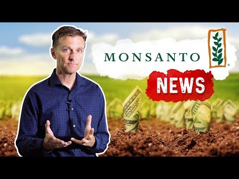 An APPLE a Day Will NOT Let Your Weight Go Away – Dr Berg