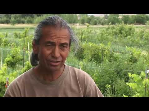 Kiss the Earth with Emigdio Ballon | Bioneers