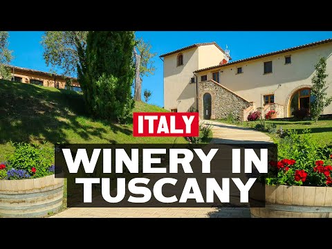 Winery in Tuscany | Le Buche Wine Resort & Spa
