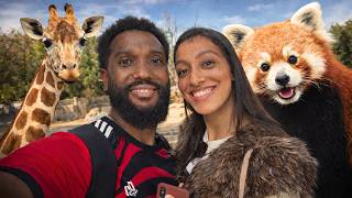 O Zoológico de Madrid é MUITO melhor do que eu imaginava!