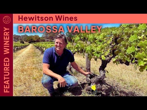 A Coveted Secret In The World's Oldest Mourvèdre Vineyard 🤫