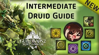 Best Healer in SotO! Intermediate Druid Guide for Raids/Strikes