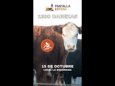 15/10/2025   Pantalla Esteña (Pantalla) / La Escondida - Maldonado