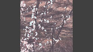 Download lagu saku mp3