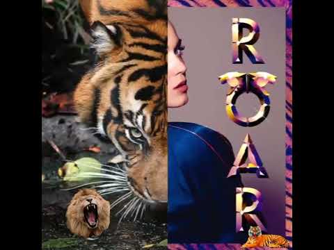 Survivor & Katy Perry - Eye of the Tiger (Roar Remix)