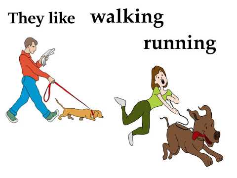 Doodle Animated Video - Dog is man's best friend