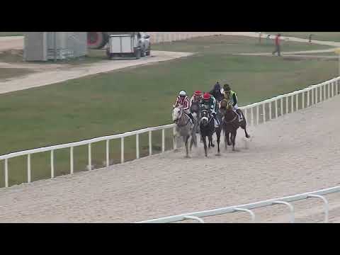 2022.11.20. 06. futam - JENEY ISTVÁN EMLÉKVERSENY - KINCSEM PARK DÍJA (I.kat.)(szintetikus pálya)