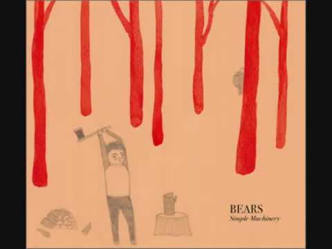 Wait and See - Bears