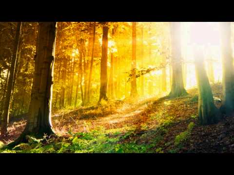 2 Hours of Relaxing and Mellow Music | Smooth Jazz Saxophone Songs | Smooth Songs | Soft Jazz