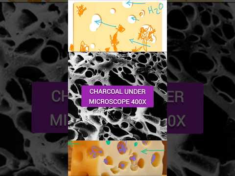 What Should You Do with The Charcoal or Carbon That Comes With an Aquarium Filter?