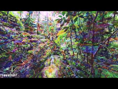 Best #DeepDream Video On The Internet