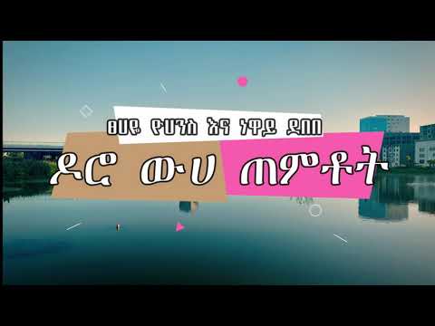 Tsehaye Yohanes and Neway Debebe - Doro Wuha Temtot(ፀሀዬ ዮሀንስ እና ነዋይ ደበበ  - ዶሮ ውሀ ጠምቶት)Lyrics Video