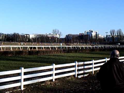 Galopprennen Neuss 7.3.2010