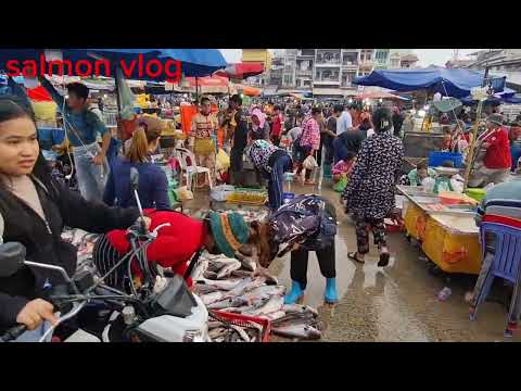 Amazing Lively Market View, Wholesale Lively Market Scene, Cambodian Lively Fish Market  Market Tour