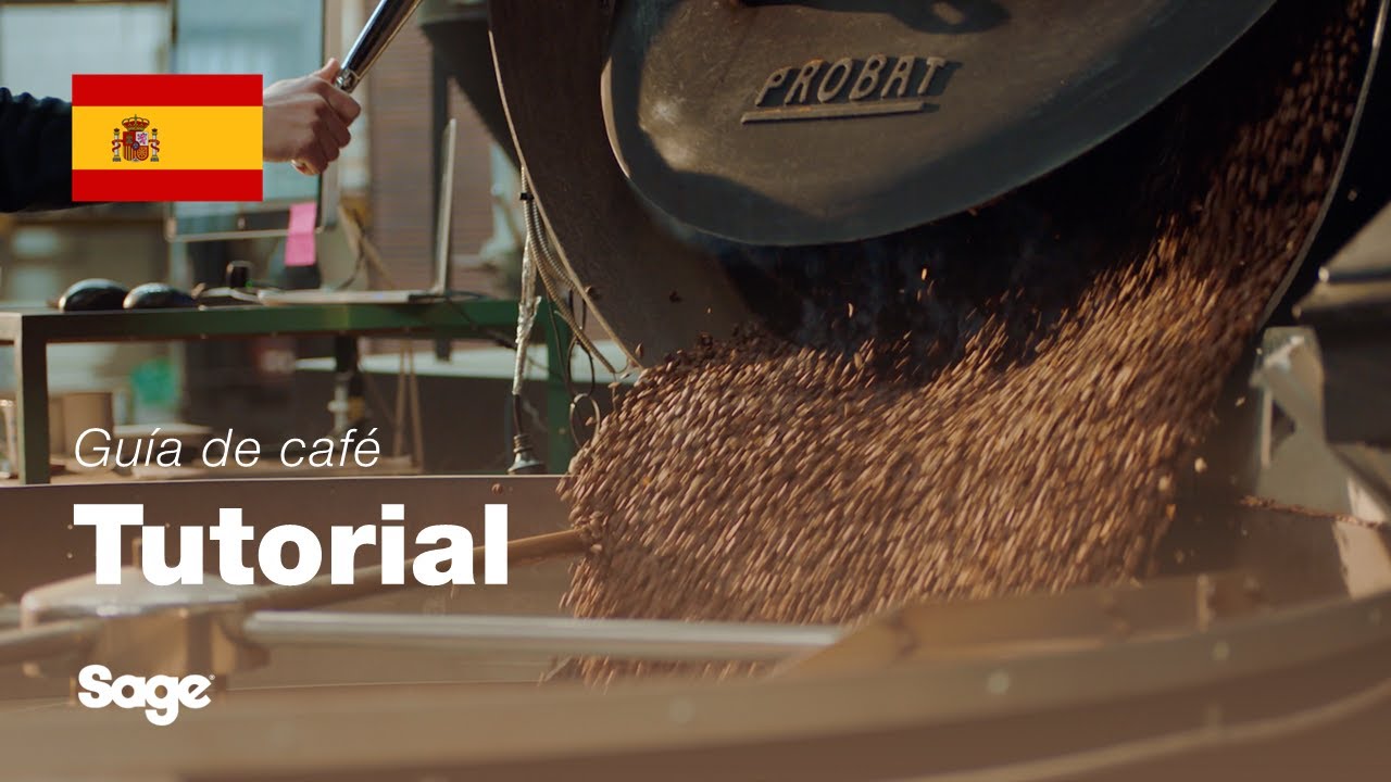 Tutorial de guía de café de Breville - Elegir los granos de café adecuados