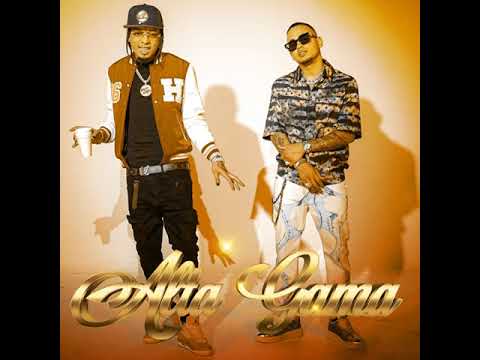 Rochy Rd Feat. Ozuna - Alta Gama (Remix)
