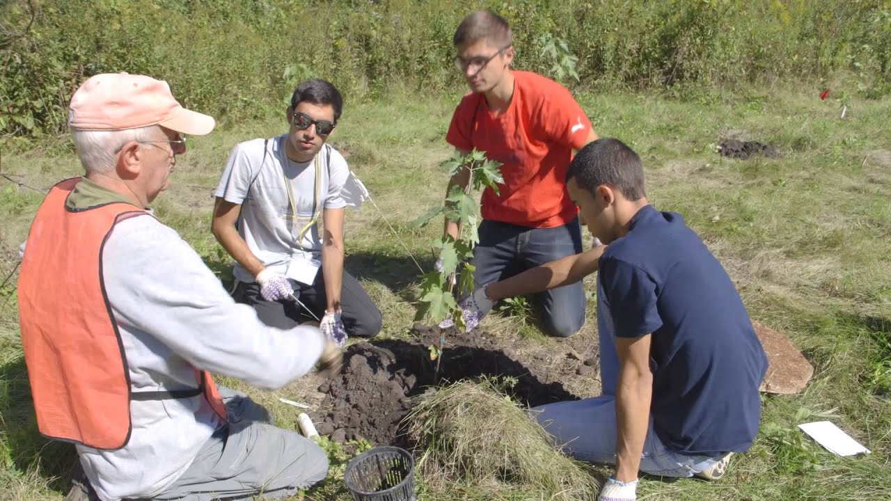 The Arb: Carleton's Cowling Arboretum