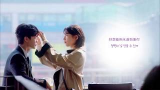 【中字】Roy Kim (로이킴) - 就好了/좋겠다(當你沉睡時/당신이 잠든 사이에 OST Part.3)