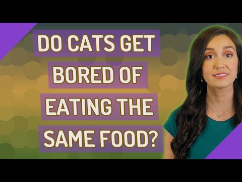 Do cats get bored of eating the same food?