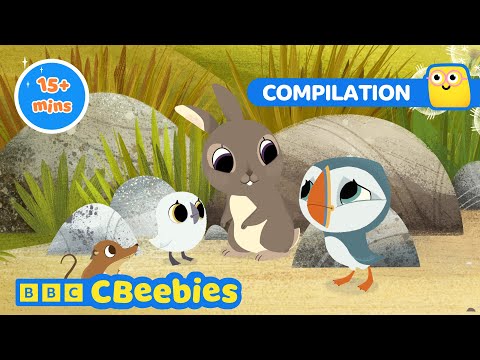 Fun and Adventures with the Puffins! 🐧 🌊 | Puffin Rock Compilation | CBeebies