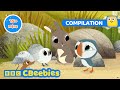 Fun And Adventures With The Puffins Puffin Rock Compilation CBeebies