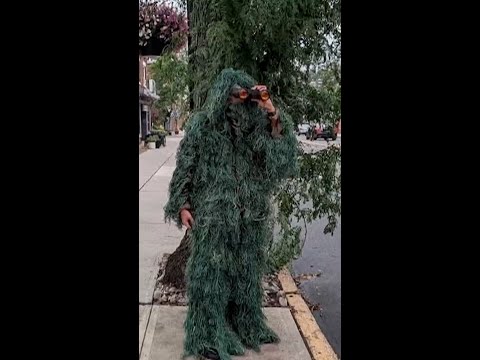 Cop dresses as a shrub to catch distracted drivers