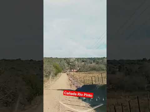 Un paseito por Cañada Río Pinto