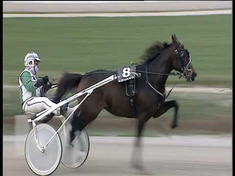 Trotto 30/11/2018 - 3ª corsa