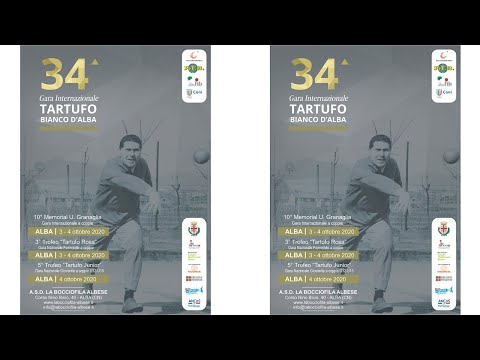 34° Gara internazionale del Tartufo