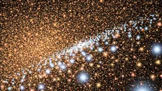 soulwax = another excuse