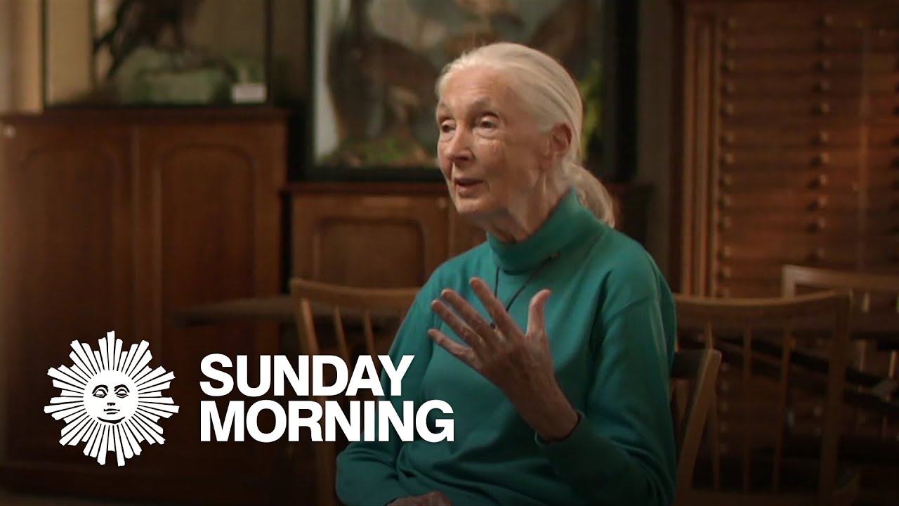 Jane Goodall's message of hope