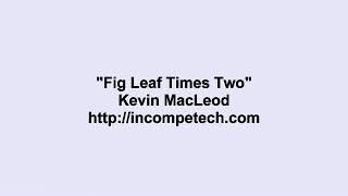 Cover art for Fig Leaf Times Two