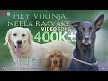 Hey Virinja Neela Raavake Valatty Tale Of Tails Video Song Devan Vijay Babu Varun Sunil