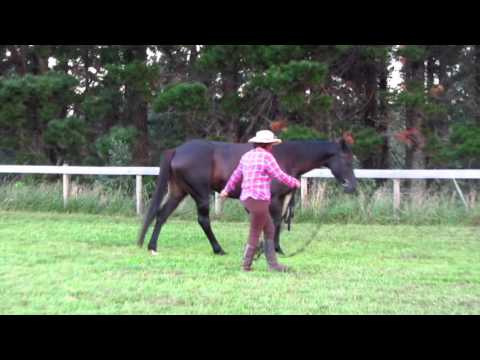 Chica SOM 05_03_16 LUNGE