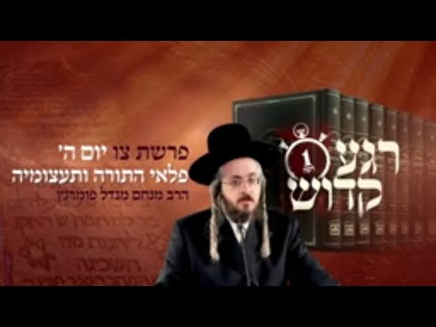 רגע קדוש מהאור החיים - פרשת צו יום ה'