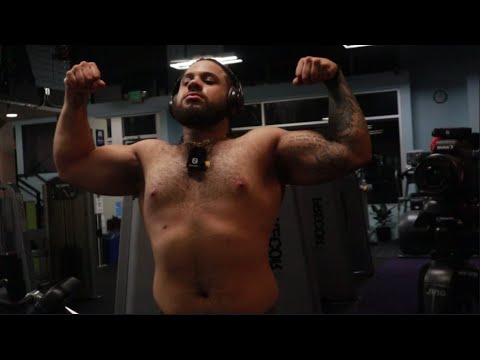 Spring Bulk Day 51 Arms