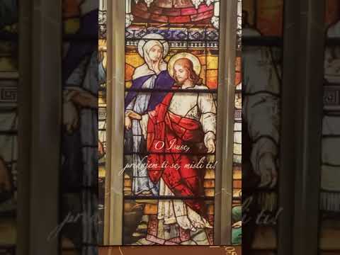 Krunica Isuse misli Ti i litanije#dondolindo#isusemisliti#krunica #krvkristova #litanije