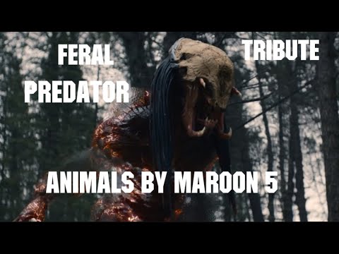 Feral Predator Tribute (Animals) 
