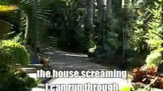 videoke - (r velasquez) bluer than blue