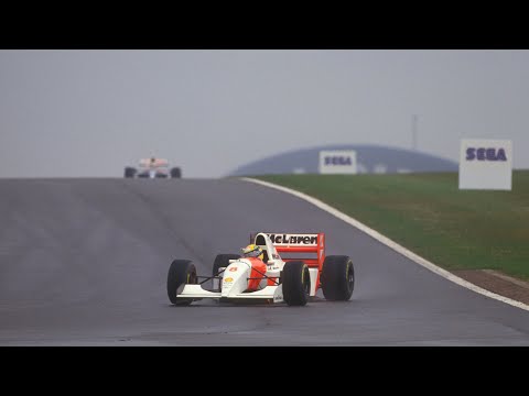 Grande Prêmio da Europa 1993 (1993 European Grand Prix)